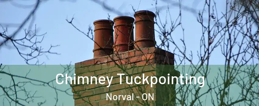  Chimney Tuckpointing Norval - ON