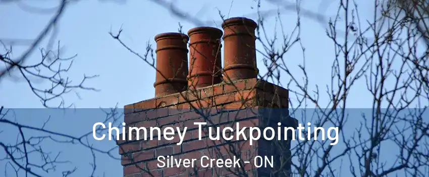  Chimney Tuckpointing Silver Creek - ON