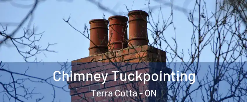  Chimney Tuckpointing Terra Cotta - ON