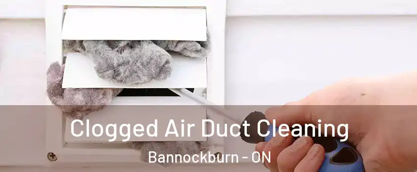  Clogged Air Duct Cleaning Bannockburn - ON