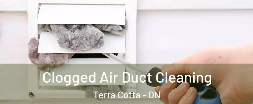  Clogged Air Duct Cleaning Terra Cotta - ON