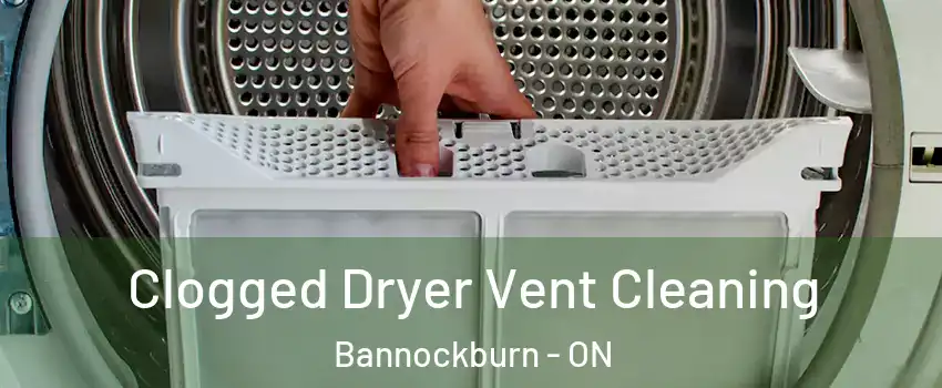  Clogged Dryer Vent Cleaning Bannockburn - ON