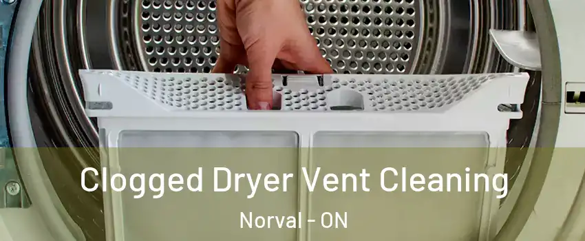  Clogged Dryer Vent Cleaning Norval - ON