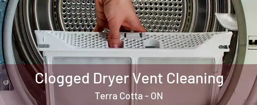  Clogged Dryer Vent Cleaning Terra Cotta - ON