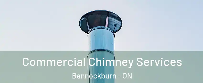  Commercial Chimney Services Bannockburn - ON