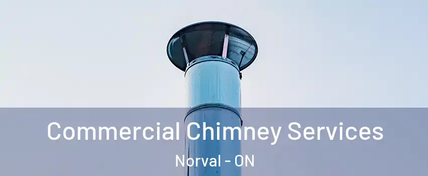  Commercial Chimney Services Norval - ON