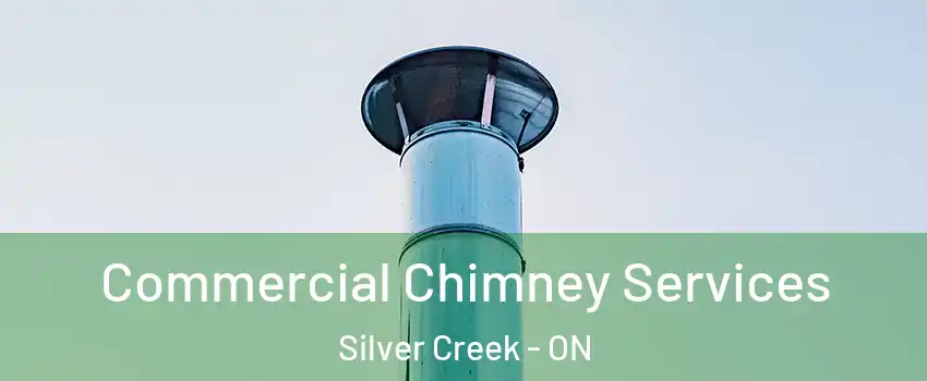  Commercial Chimney Services Silver Creek - ON