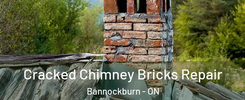  Cracked Chimney Bricks Repair Bannockburn - ON