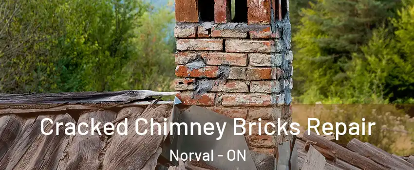  Cracked Chimney Bricks Repair Norval - ON