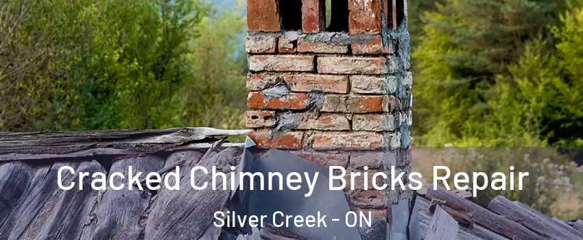  Cracked Chimney Bricks Repair Silver Creek - ON