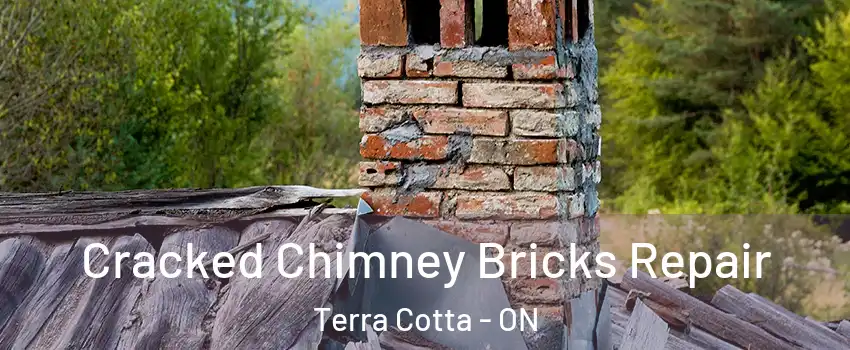  Cracked Chimney Bricks Repair Terra Cotta - ON