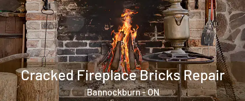  Cracked Fireplace Bricks Repair Bannockburn - ON