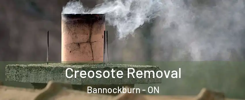  Creosote Removal Bannockburn - ON