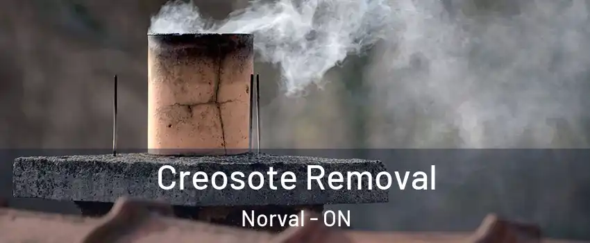  Creosote Removal Norval - ON