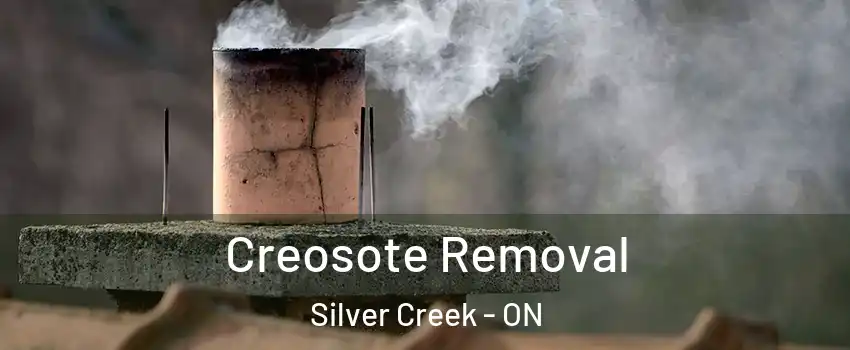  Creosote Removal Silver Creek - ON