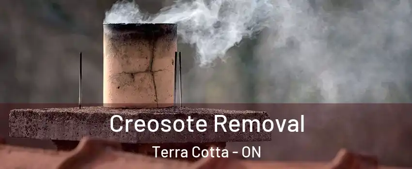  Creosote Removal Terra Cotta - ON