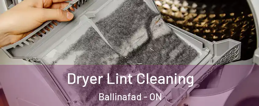 Dryer Lint Cleaning Ballinafad - ON