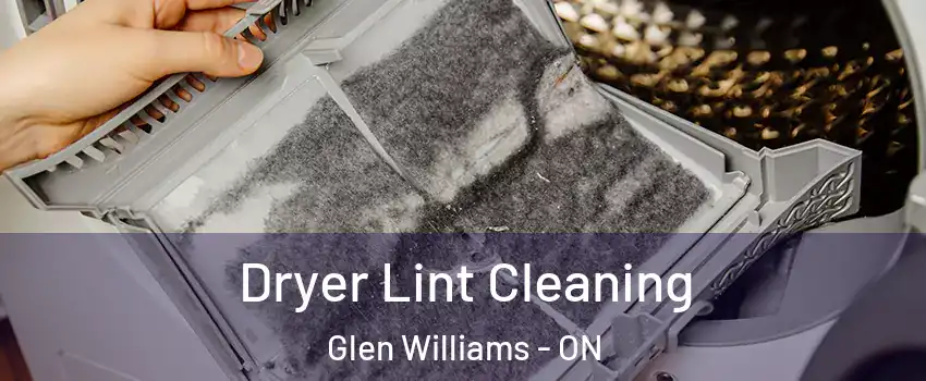  Dryer Lint Cleaning Glen Williams - ON