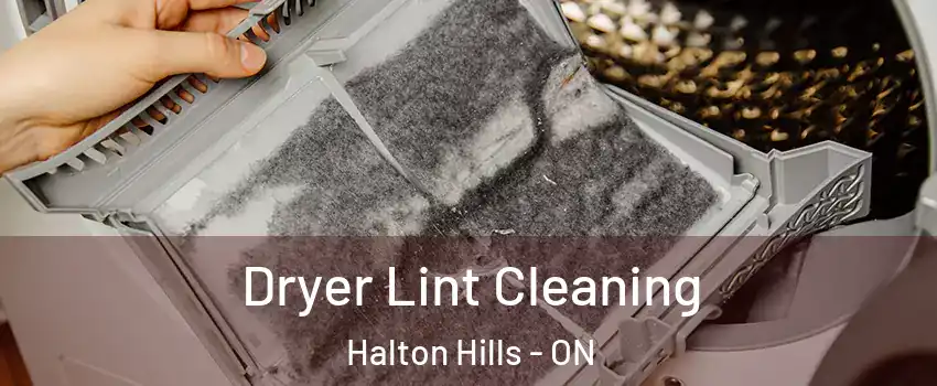  Dryer Lint Cleaning Halton Hills - ON