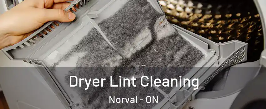  Dryer Lint Cleaning Norval - ON