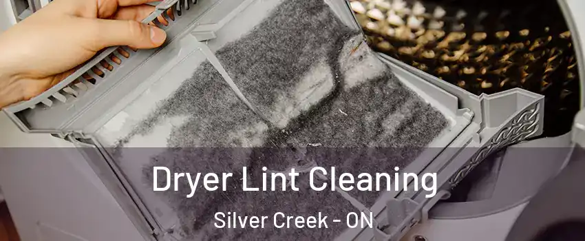  Dryer Lint Cleaning Silver Creek - ON