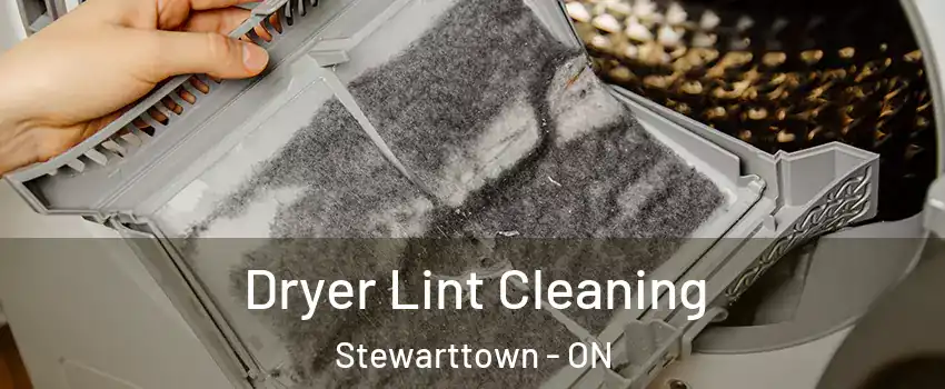  Dryer Lint Cleaning Stewarttown - ON