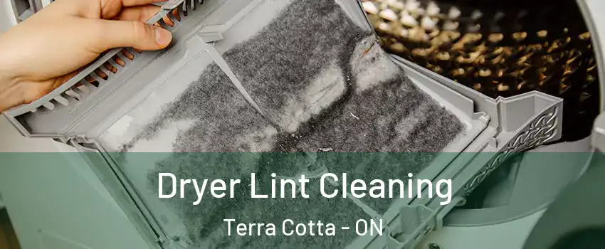  Dryer Lint Cleaning Terra Cotta - ON