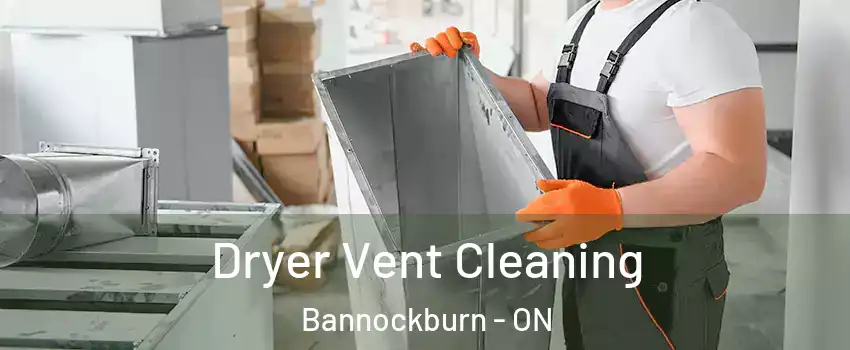  Dryer Vent Cleaning Bannockburn - ON