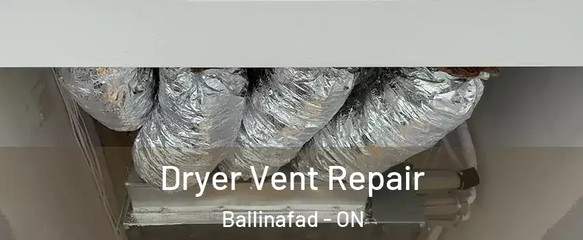  Dryer Vent Repair Ballinafad - ON