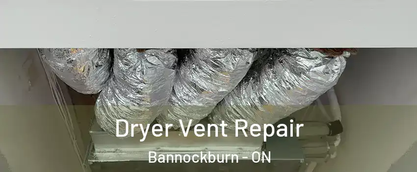  Dryer Vent Repair Bannockburn - ON