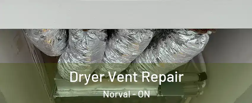  Dryer Vent Repair Norval - ON