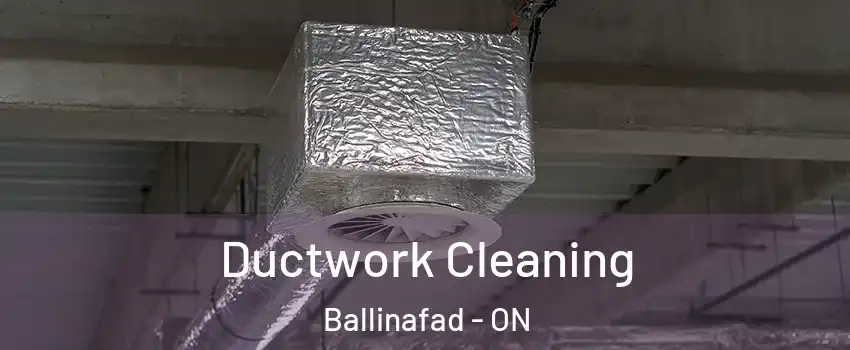  Ductwork Cleaning Ballinafad - ON