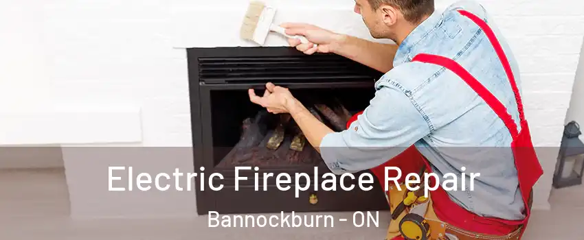  Electric Fireplace Repair Bannockburn - ON