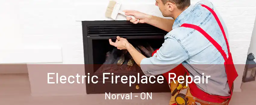  Electric Fireplace Repair Norval - ON