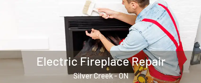  Electric Fireplace Repair Silver Creek - ON