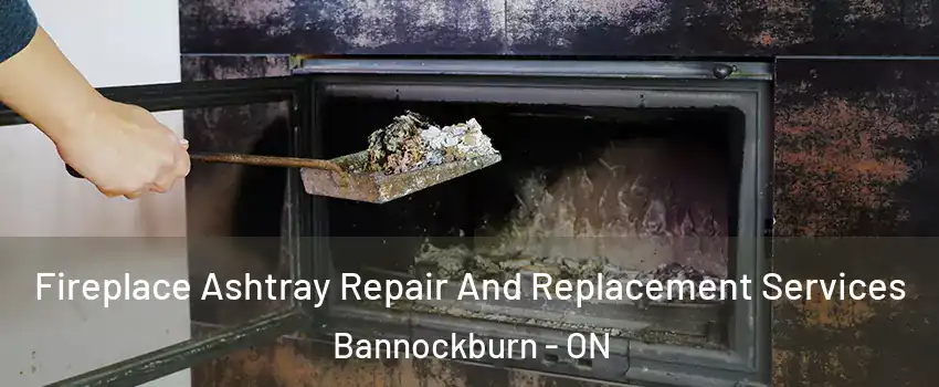  Fireplace Ashtray Repair And Replacement Services Bannockburn - ON