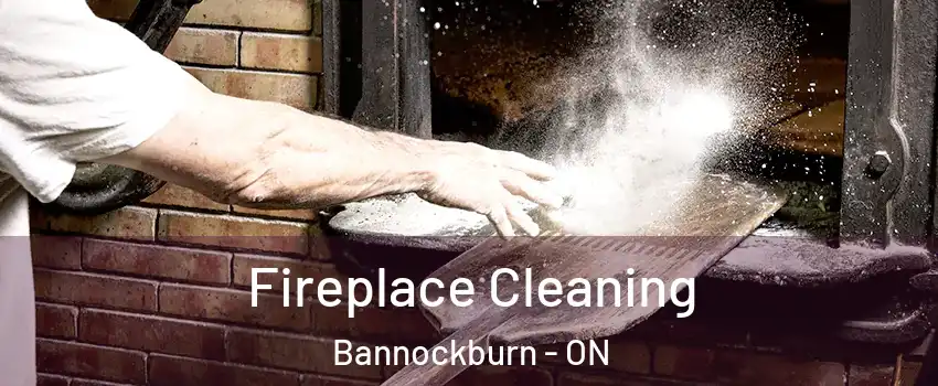  Fireplace Cleaning Bannockburn - ON