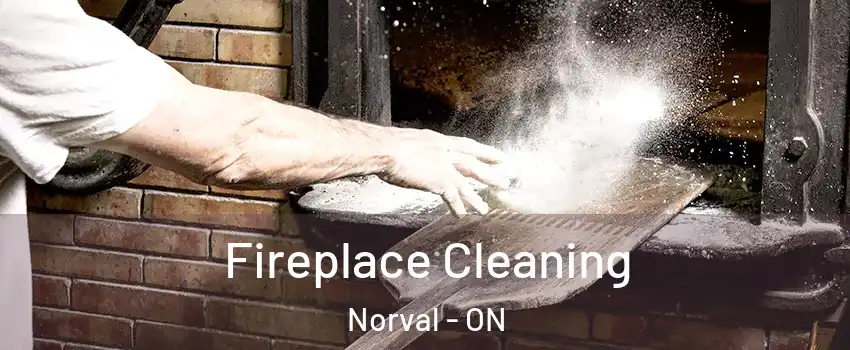  Fireplace Cleaning Norval - ON