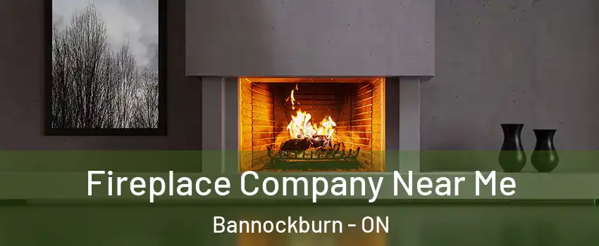  Fireplace Company Near Me Bannockburn - ON