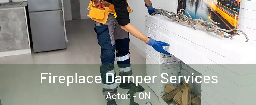  Fireplace Damper Services Acton - ON