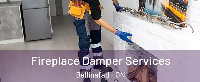  Fireplace Damper Services Ballinafad - ON