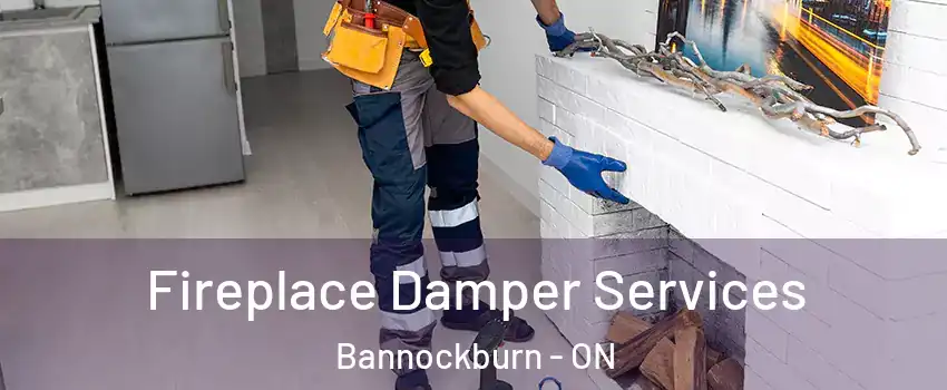  Fireplace Damper Services Bannockburn - ON