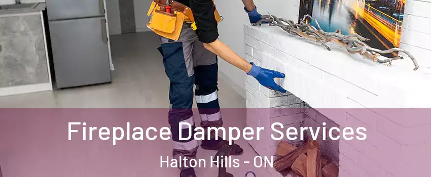  Fireplace Damper Services Halton Hills - ON