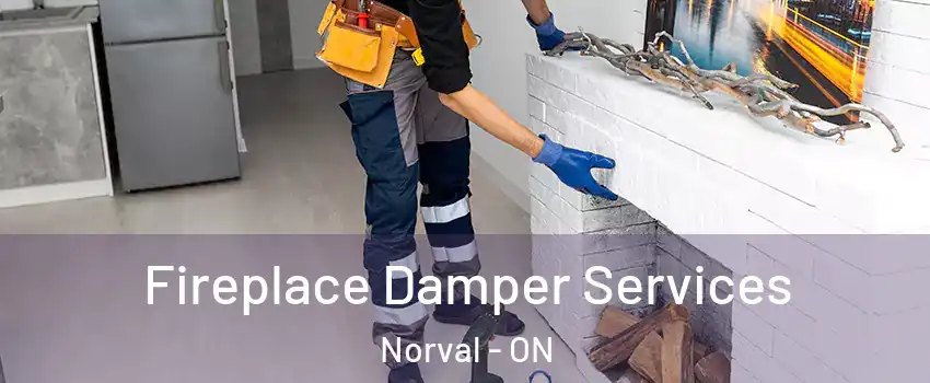  Fireplace Damper Services Norval - ON