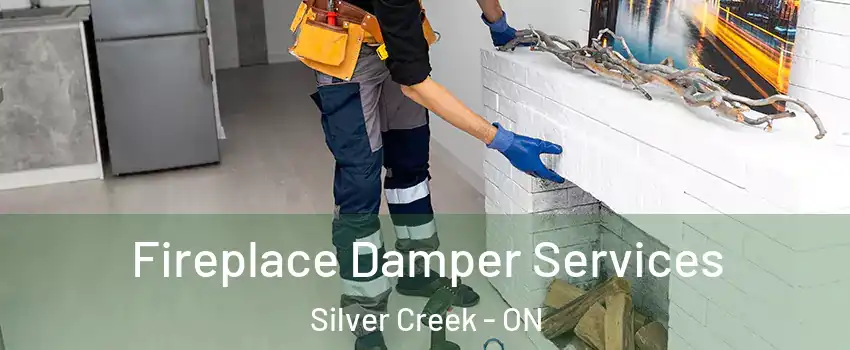  Fireplace Damper Services Silver Creek - ON