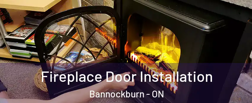  Fireplace Door Installation Bannockburn - ON