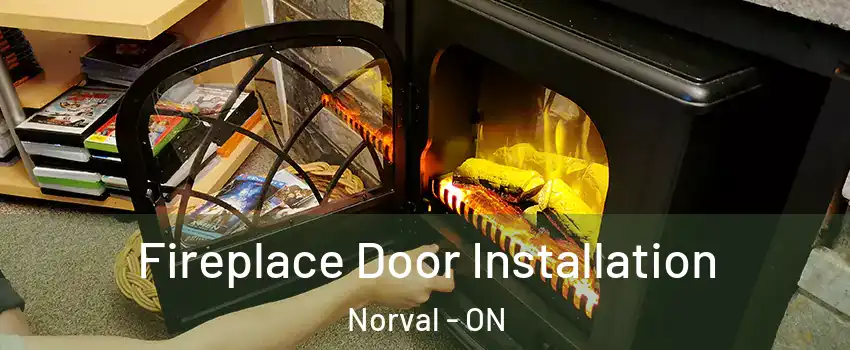  Fireplace Door Installation Norval - ON