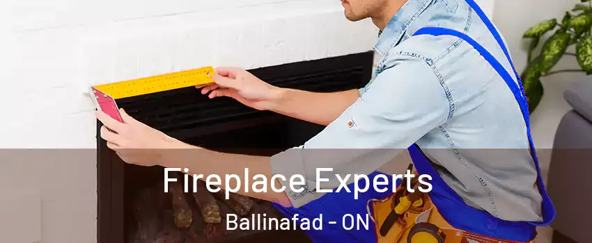  Fireplace Experts Ballinafad - ON