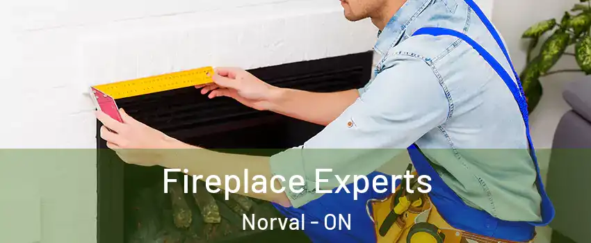  Fireplace Experts Norval - ON