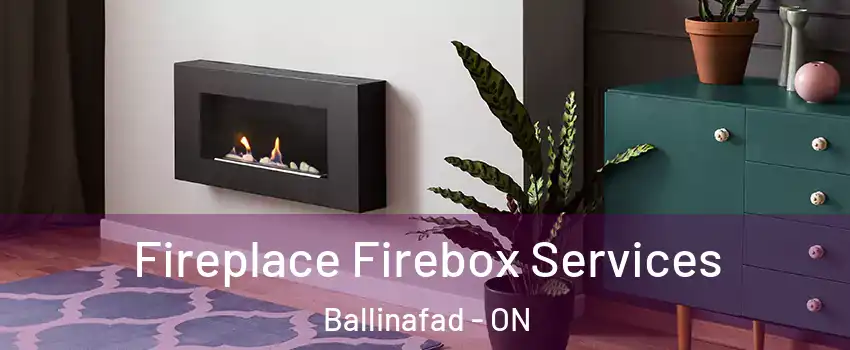  Fireplace Firebox Services Ballinafad - ON